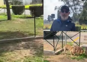 Capoterra, quasi pronta l’area cani di via Falcone