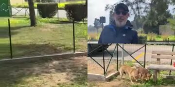 Capoterra, quasi pronta l’area cani di via Falcone