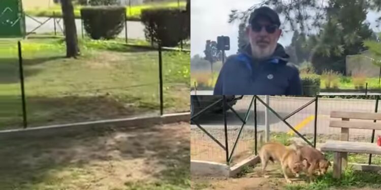 Capoterra, quasi pronta l’area cani di via Falcone