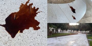 Cagliari, panchina imbrattata e mozzicone: piazza Matteotti già inaugurata dagli incivili