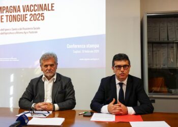 La campagna vaccinale 2025 contro la Blue Tongue è ai nastri di partenza: Sardegna in campo contro l’epidemia