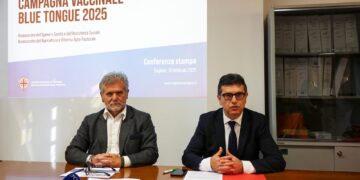 La campagna vaccinale 2025 contro la Blue Tongue è ai nastri di partenza: Sardegna in campo contro l’epidemia