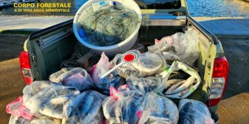 Cagliari, sequestrati 100 metri di rete illegale e 120 kg di muggini a Terramaini
