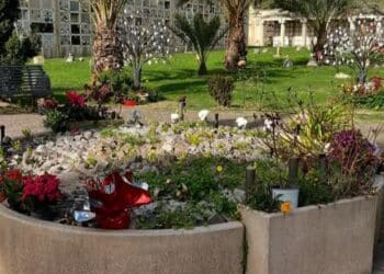 Degrado a Cagliari, il “Giardino dei Ricordi” di Bonaria usato dai gatti come lettiera