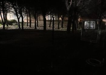 Selargius, area cani al buio e transennata per rischio caduta alberi