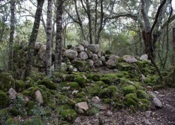 Assemini, il nuraghe immerso nel verde del Gutturu Mannu a rischio