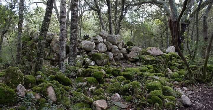 Assemini, il nuraghe immerso nel verde del Gutturu Mannu a rischio