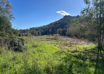 Capoterra, a Poggio dei Pini un invito ai bambini a piantare essenze nelle sponde del lago