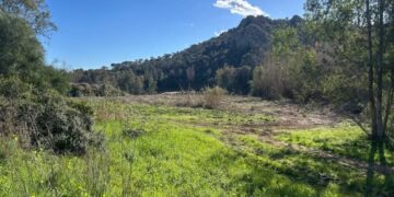 Capoterra, a Poggio dei Pini un invito ai bambini a piantare essenze nelle sponde del lago