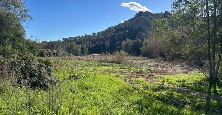 Capoterra, a Poggio dei Pini un invito ai bambini a piantare essenze nelle sponde del lago