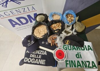Alghero, sequestrati oltre 8 kg di semi non identificabili e senza certificazione sanitaria