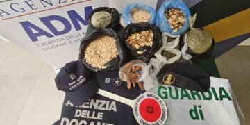 Alghero, sequestrati oltre 8 kg di semi non identificabili e senza certificazione sanitaria