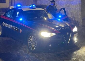 Sanluri, agricoltore denunciato per porto abusivo di armi