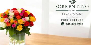 Il significato dei colori delle rose