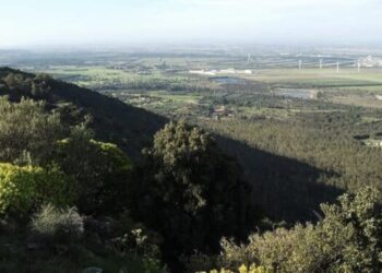 A Gutturu Mannu si fa il bagno nella foresta: è il Forest Bathing