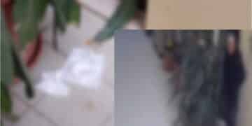 Cagliari, invasione di cortile in pieno centro, un residente denuncia episodi incresciosi: “Non è la prima volta che accade” 