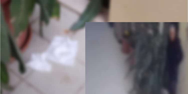 Cagliari, invasione di cortile in pieno centro, un residente denuncia episodi incresciosi: “Non è la prima volta che accade” 