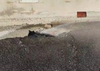 Capoterra, altra segnalazione sui disservizi di Abbanoa: acqua sprecata da mesi in via Cimarosa