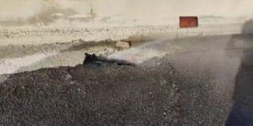 Capoterra, altra segnalazione sui disservizi di Abbanoa: acqua sprecata da mesi in via Cimarosa