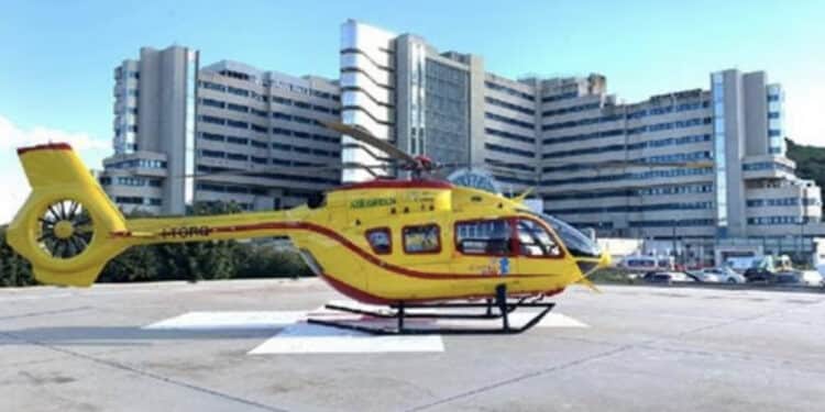 Travolto dall’albero che stava sdradicando, 74enne in coma al Brotzu di Cagliari