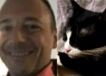 La sua gatta precipita dal sesto piano, radiologo la opera in ospedale: “Athena era tra la vita e la morte, ringrazio chi mi ha sostenuto”