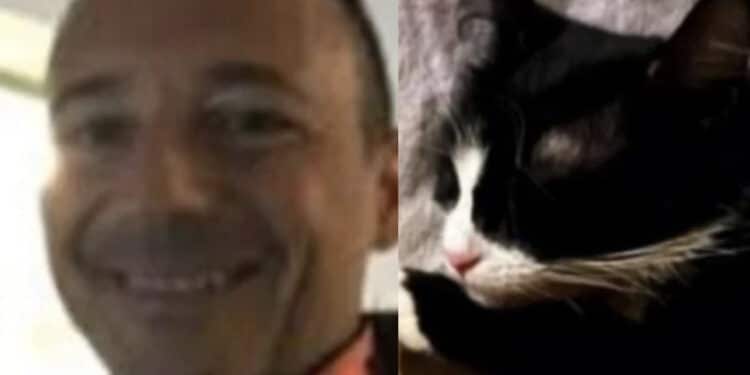 La sua gatta precipita dal sesto piano, radiologo la opera in ospedale: “Athena era tra la vita e la morte, ringrazio chi mi ha sostenuto”