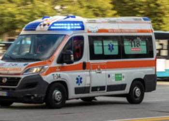 Uomo di 85 anni aggredito e ucciso da due cani in campagna