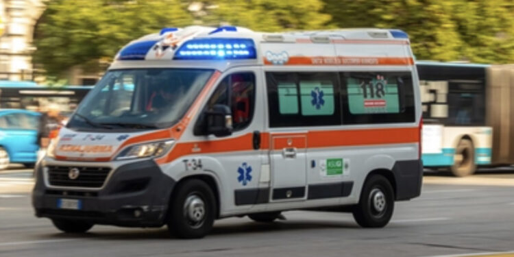 Uomo di 85 anni aggredito e ucciso da due cani in campagna