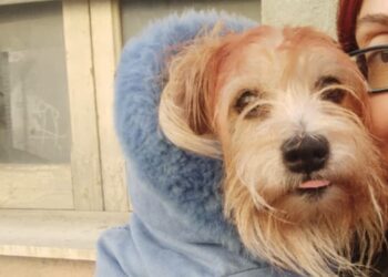 Quartu: la vita stravolta dopo un incidente stradale, ora rischia di finire in strada