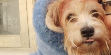 Quartu: la vita stravolta dopo un incidente stradale, ora rischia di finire in strada