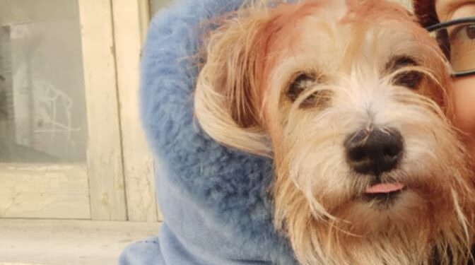 Quartu: la vita stravolta dopo un incidente stradale, ora rischia di finire in strada