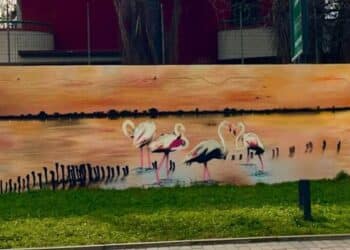 A Margine Rosso un murale dedicato a Molentargius: fenicotteri rosa a passeggio nell’acqua