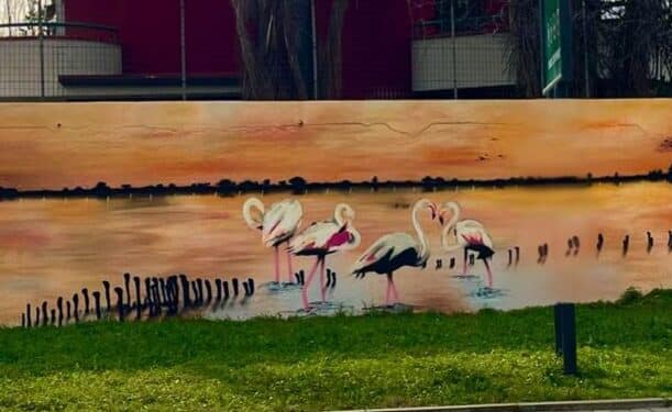 A Margine Rosso un murale dedicato a Molentargius: fenicotteri rosa a passeggio nell’acqua