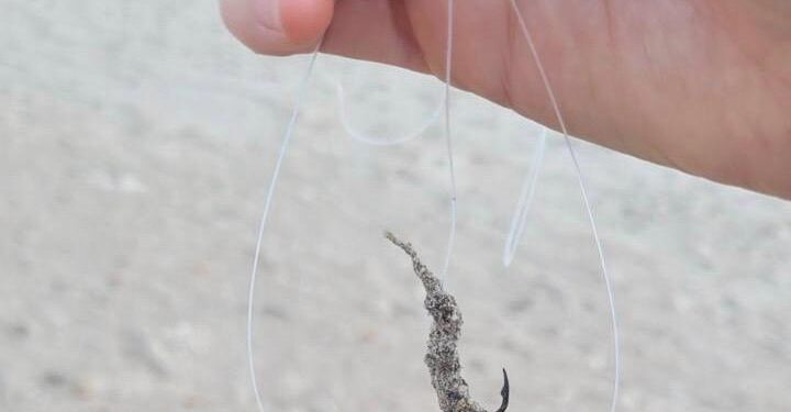 Cagliari, allarme al Poetto: “Centinaia di ami buttati in spiaggia, il mio cane operato d’urgenza e tanti bambini si feriscono”