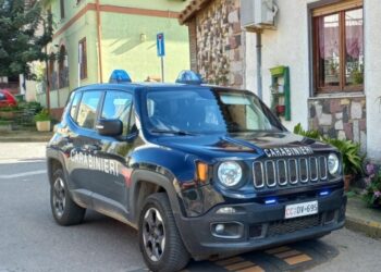 Serrenti, a 86 anni ruba carciofi al vicino e minaccia i carabinieri con un coltello