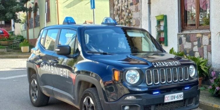 Serrenti, a 86 anni ruba carciofi al vicino e minaccia i carabinieri con un coltello