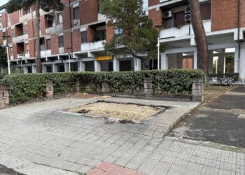 Cagliari, sradicata la storica edicola del Cep: la crisi dei giornali in un quartiere sempre più povero e abbandonato