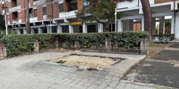 Cagliari, sradicata la storica edicola del Cep: la crisi dei giornali in un quartiere sempre più povero e abbandonato