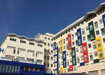 Bufera al Microcitemico di Cagliari, dipendenti furiosi: “Pronti alla mobilitazione contro la legge sbagliata di Bartolazzi”