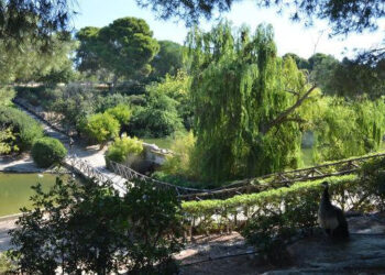 Cagliari, guerra al rifiuto selvaggio: dopo Sant’Elia tocca a Monte Urpinu