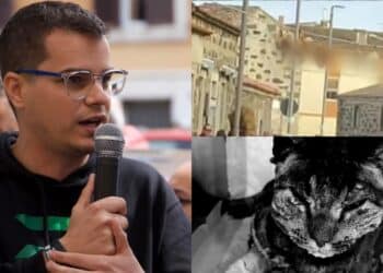 Cagliari,  il 29 marzo manifestazione “per dire basta alle violenze sugli animali”