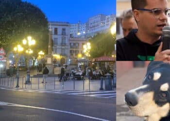 Cagliari, si svolgerà in piazza Yenne la manifestazione contro la violenza sugli animali