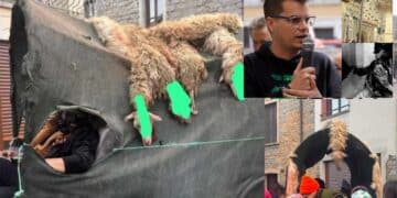 Diritti degli animali, Rizzi invita tutta l’Italia all’incontro in piazza Yenne