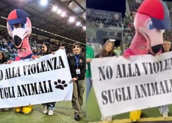Anche il Cagliari scende in campo per sensibilizzare contro la violenza sugli animali