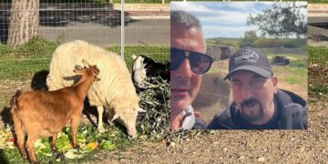 Carbonia, anche Gennaro Longobardi nell’oasi di Francesco Giganti per ritrovare il montone rubato