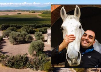 Serdiana, gli animali diventano parte integrante del paese