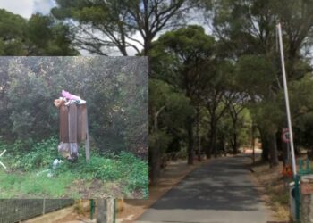 La pineta di Sinnai un bene unico da preservare e valorizzare