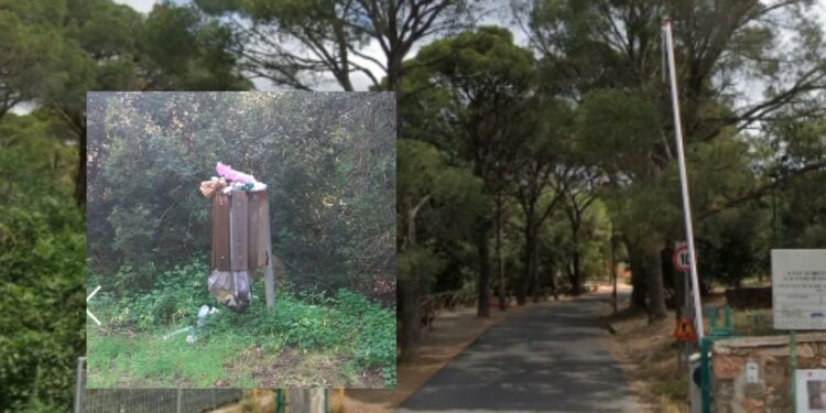 La pineta di Sinnai un bene unico da preservare e valorizzare