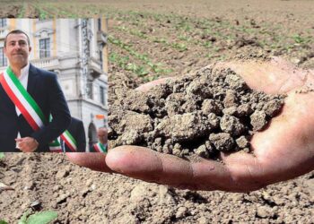 Sospiro di sollievo per gli agricoltori sardi: “L’allarme lanciato è stato ascoltato”