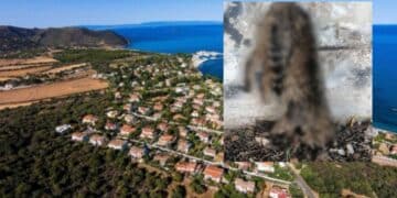 Sarroch, gatto infilzato in piazza Sant’Anna: “Mostruosità senza cuore”